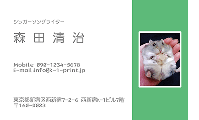 [f-0030]白背景の箇所にはお名前を、そしてカラーのベタ塗り箇所には写真配置をし、オリジナルの写真入り名刺が作れます！シンプルでやさしい色合いのフォト名刺な名刺:デザイン名刺.net